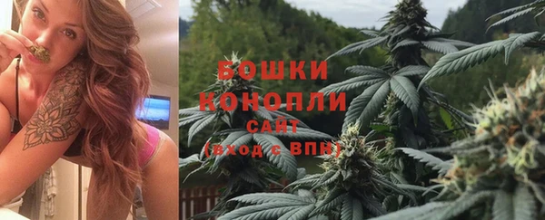 ALPHA PVP Богданович