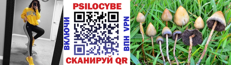 Псилоцибиновые грибы мухоморы  дарк нет как зайти  Дятьково  купить наркотик 